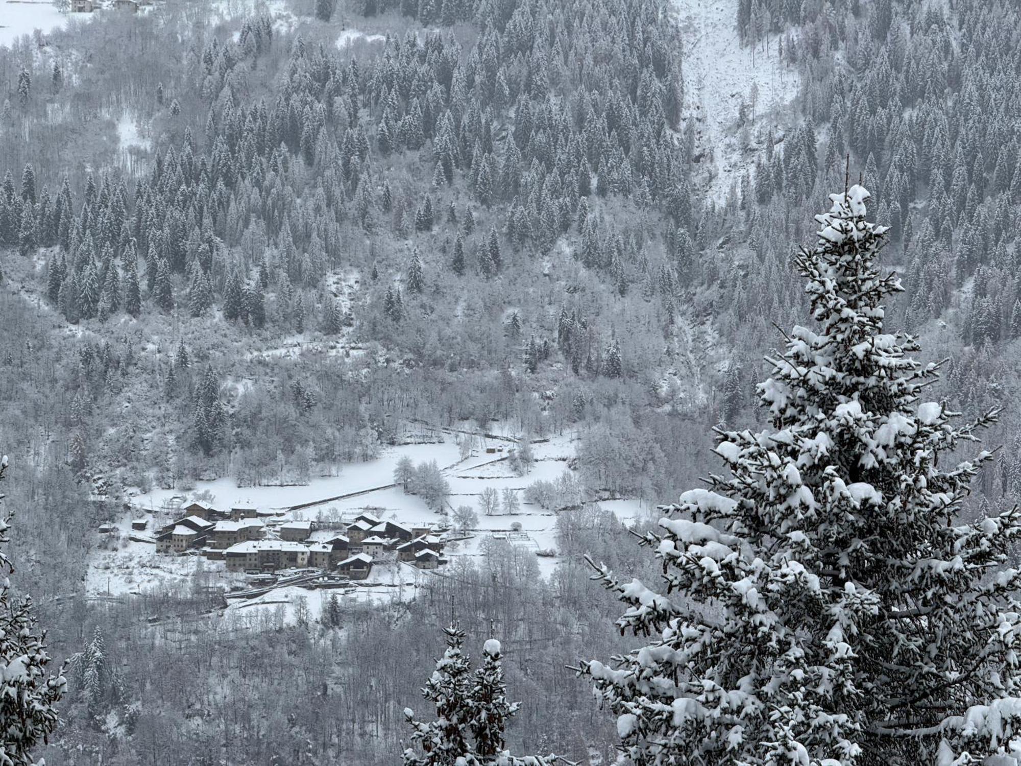 شقة Panorama Marilleva 1400 - Val Di Sole المظهر الخارجي الصورة